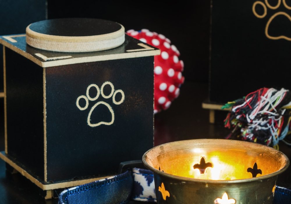 Pet Urns