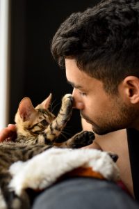 Cat Care Tips