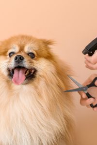 Grooming Tools
