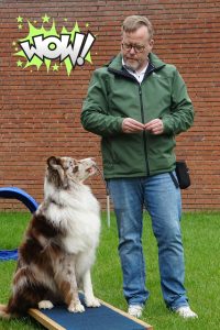 Obedience Training