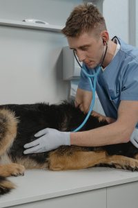 Common health issues